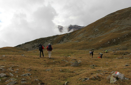 O135-110905-td-31-td