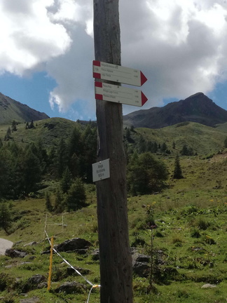 O136-ldp001-00-d01-070820-GP