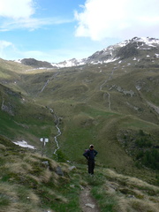 O137A-ldp001-00-p2-130626