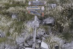 O139-ldp001-00-d01-pns8