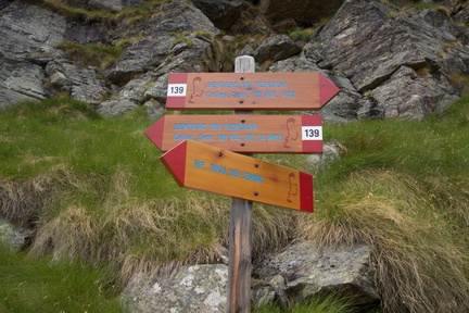 O139-ldp001-00-d1-170728-td