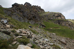 O139-ldp001-00-p1-170728-td