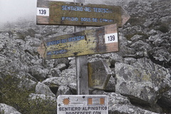 O139-ldp003-00-d01-pns5