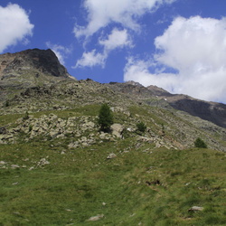 sentiero