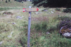 O140-ldp005-00-d01-pns1