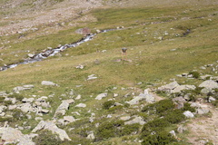 O141-ldp003-00-d01-td-200806-4140-69