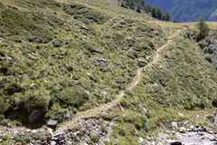 O141A-200806-td-4158-87