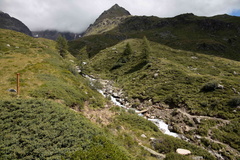 O141A-200806-td-4161-90