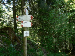 O142-ldp001-00-d1-130608