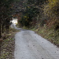 O147-07112020-td6686-94