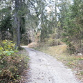 O147-07112020-td6695-103