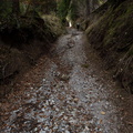 O147-07112020-td6708-116