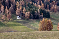 O147-07112020-td6726-134