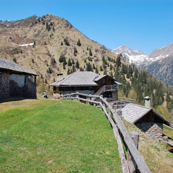 sentiero