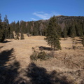 O157-14112020-td7188-175