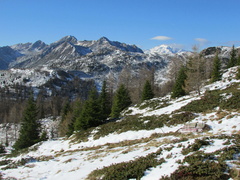 O158-cc-1312077