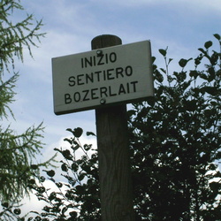 005-00