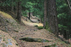 O171A-particolare-171104-SM2