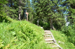 O201-ldp001-00-p01-180725-ED