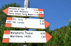 O201-ldp004-00-d01-180725-ED