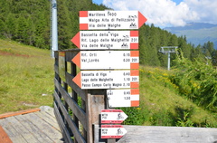 O201-ldp005-00-d01-180725-ED