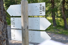 O201-ldp007-00-d02-180725-ED