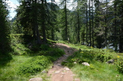 O201-ldp007-01-p01-180725-ED