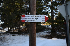 O201-ldp012-00-d01-181226-ED