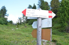 O202-ldp002-02-d02-180725-ED