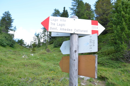 O202-ldp002-02-d02-180725-ED