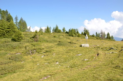 O202-ldp003-00-p01-180725-ED