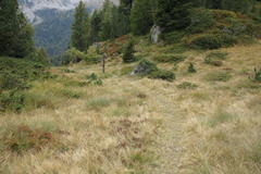 O202-130926-bivio-O202A