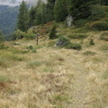 O202-130926-bivio-O202A