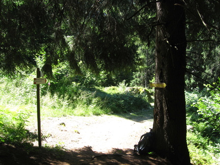 O203-ldp003-00-p1-100725