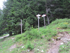 O203-ldp007-00-p1-160702-CC