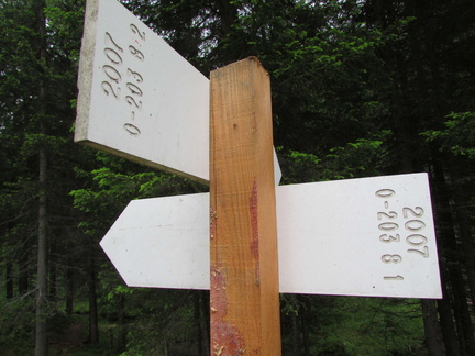 O203-ldp008-00-d2-160702-CC