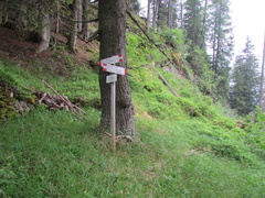 O203-ldp009-00-p1-160702-CC