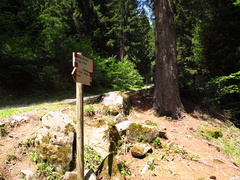 O204-ldp003-00-p02-170719-EG