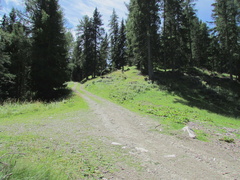 O204-ldp014-00-p4-160807-CC