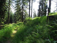 O204-ldp015-00-p03-170719-EG