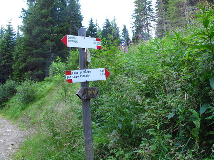 O205-ldp009-00-d1-170719-EG-0018