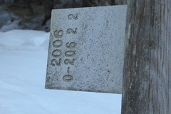 O206-ldp002-00-d02-180130-IC