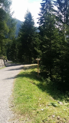 O211-ldp008-00-p1-160822-BP