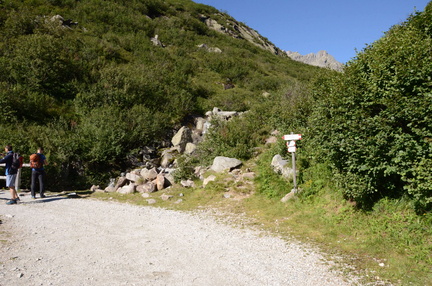 O211-ldp011-00-p03-160806-ED