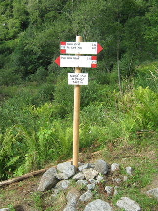 O213-ldp003-00-p2-170805-DR (2 visite) O213-ldp003-00-p2-170805-DR