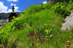 O213-Chiesetta-pr-Rif-Care-Alto-1-160718-td