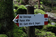 O215-ldp001-01-d1-161028-td-853