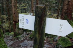 O215-ldp001-01-d2-161028-td-854