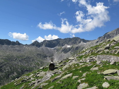 O215-160718-LB-6139