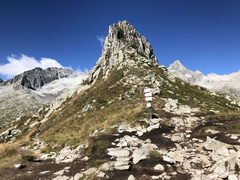 O216-ldp013-00-p01-220821-ED